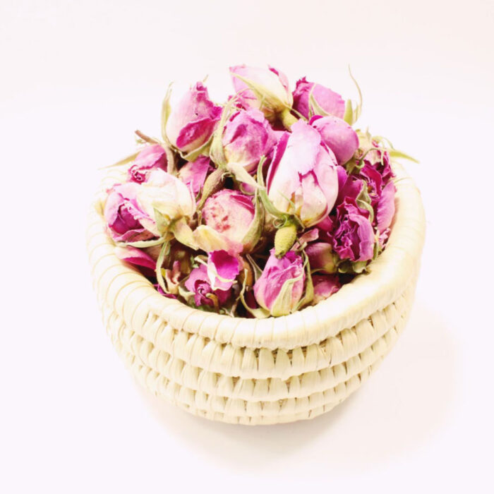 گیاه گل محمدی