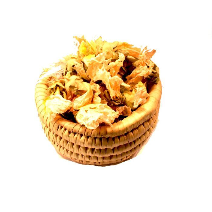 گل ختمی